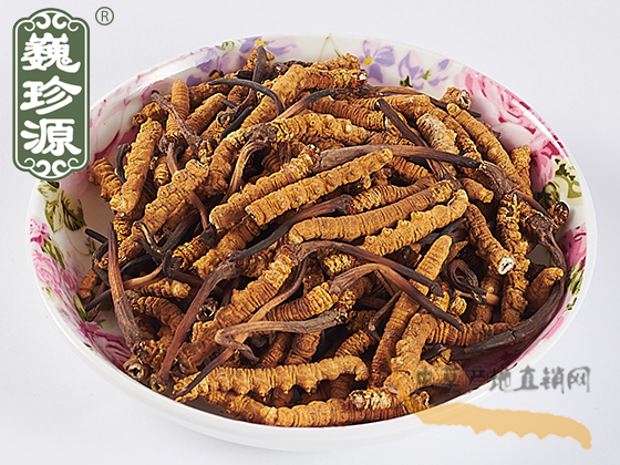 那曲蟲(chóng)草小斷草 沒(méi)斷時(shí)為3.5~5條/克