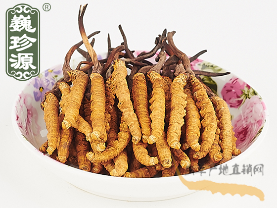 那曲冬蟲夏草2條/克 中期草 精選貨