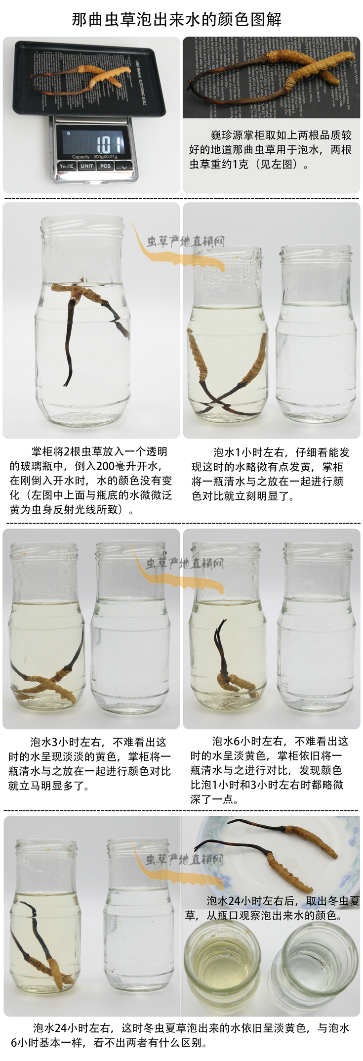 ���x�Ĳ��ݳ���ˮ���ɫ�����x�Ĳ��ݳ�����ˮ��ʲô�ɫ�����x�Ĳ���ˮ���ɫ��׃���ᣬ�����x�����^ˮ��ˮ׃��ʲô�ɫ